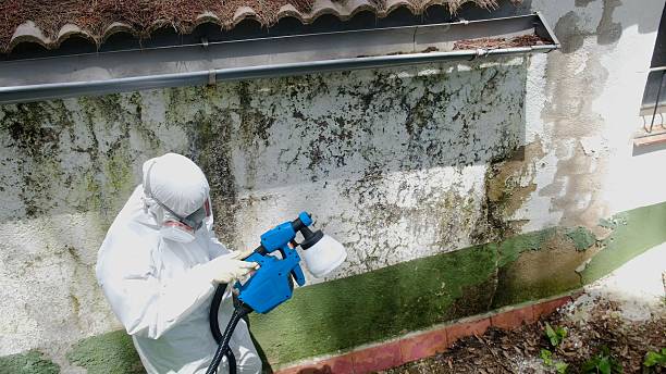 Top rated local Crawl Space Mold Removal specialists in La Salle, CO